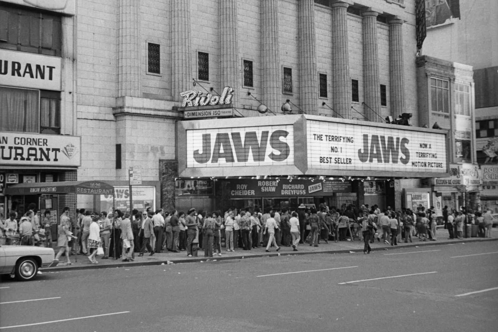 JAWS bestaat 50 jaar | JAWS @ 50 op National Geographic!