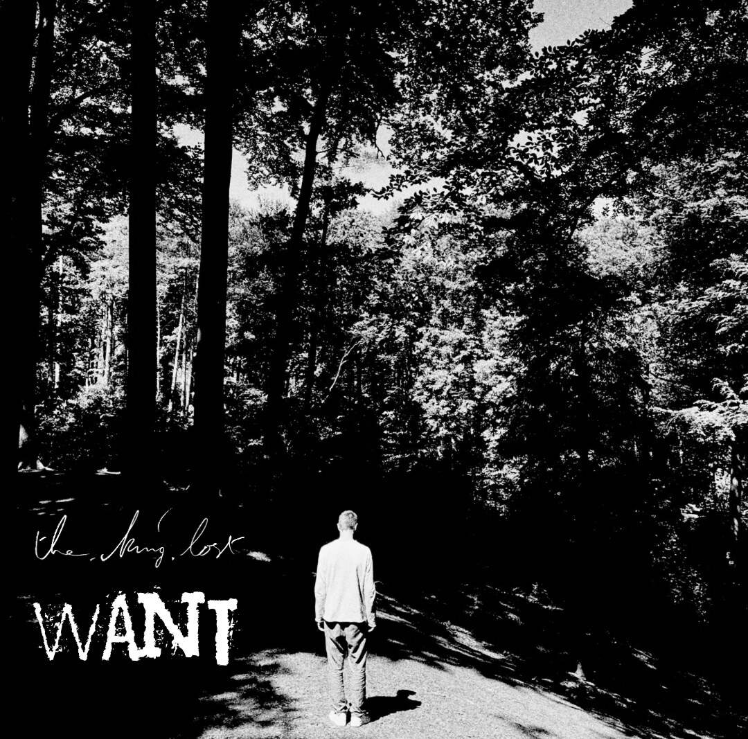 the.king.lost (band led by actor & singer Bert Verbeke) releases new single ‘Want’ and announces debut album release date