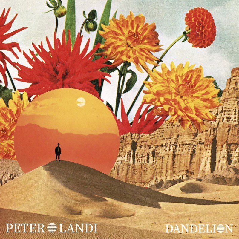 Toronto Alternative Artist Peter Landi's "Dandelion" is a Psychedelic Summertime Escape