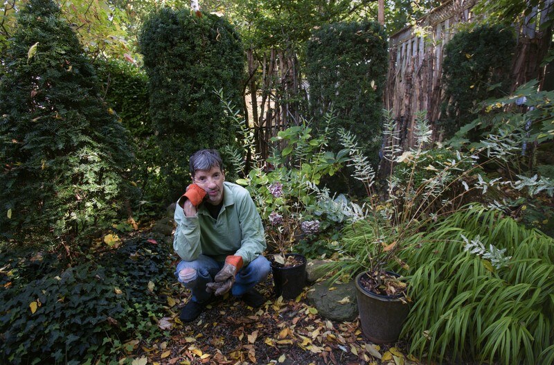 Martha and the Muffins' Mark Gane's 'Garden Music' Is a Meditative Journey Through Sound, Soil, and Sonic Memory