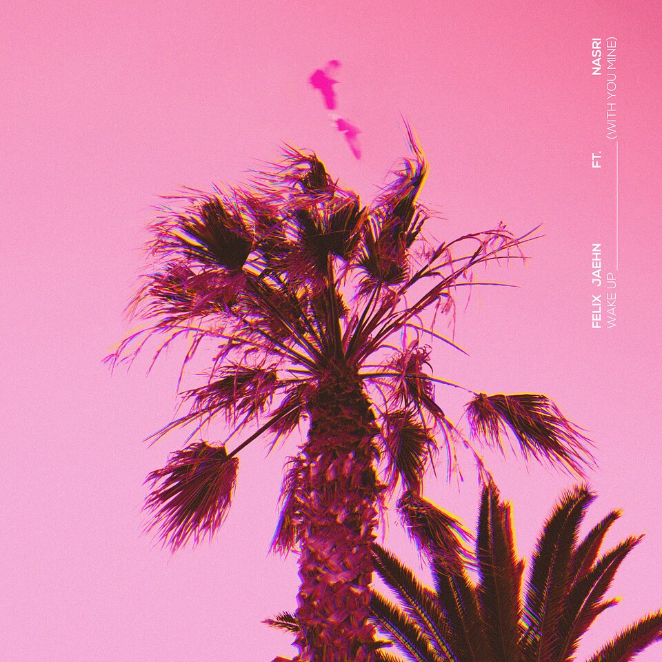 Felix Jaehn and NASRI present a new summer dance track ‘Wake Up (With You Mine)’
