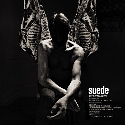 Suede's Tenth Studio Album 'Antidepressants'