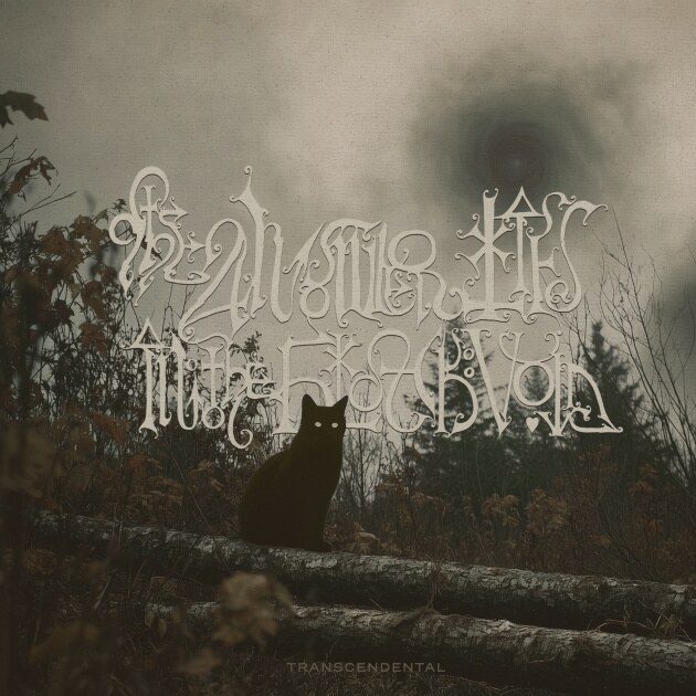 The Answer Lies In The Black Void Unveil Haunting Video for New Single "Sine Morbo"!