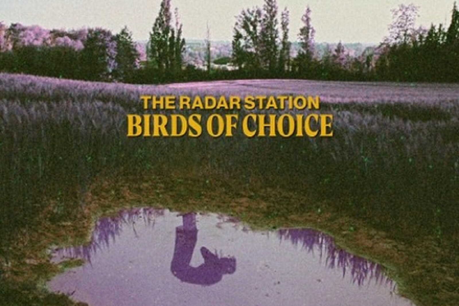 En daar is The Radar Station terug, met een gedurfd nieuw album ‘Birds of Choice’