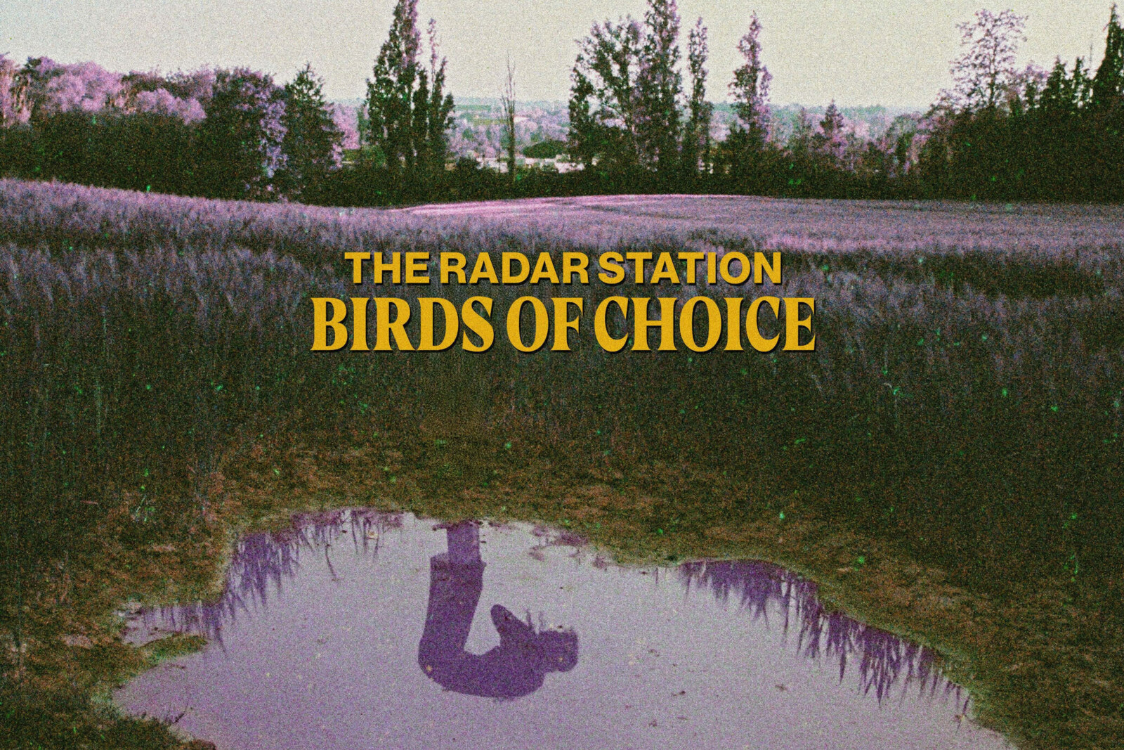 The Radar Station's new album "Birds of Choice" is out now
