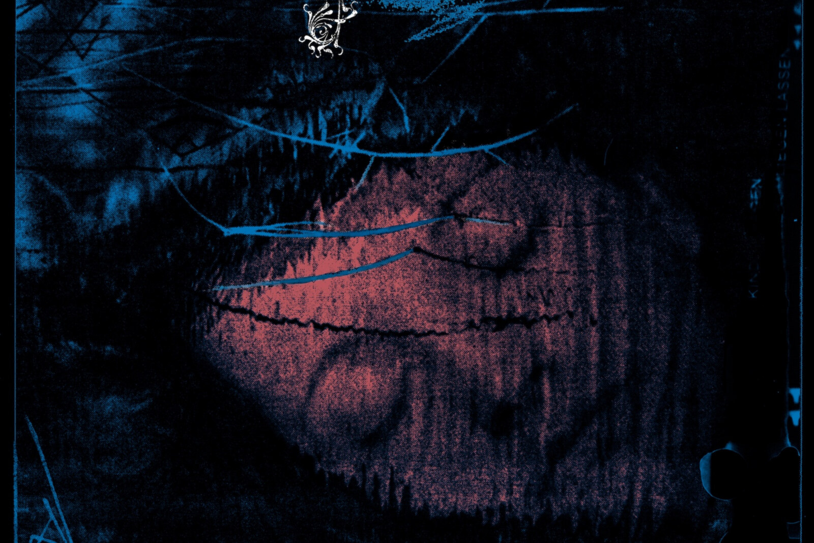 Caïman (dream folk, France)  new single "grand 8"