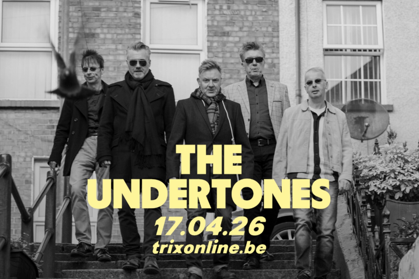 The Undertones speelt op vrijdag 17 april 2026 in Trix
