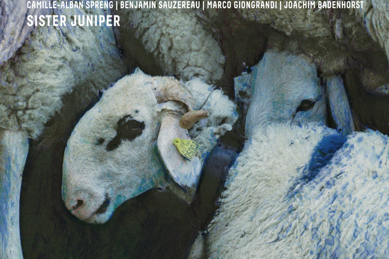 ‘Sister Juniper', new album of chamber jazz ensemble Dear Uncle Lennie