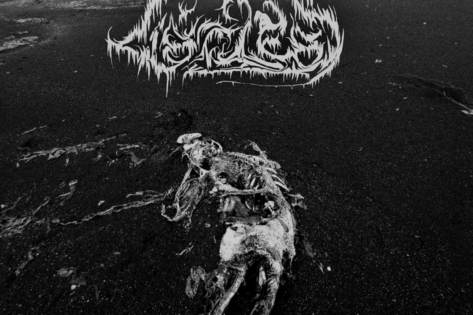 Canadian depressive black metal project Listless digs deep into solitude with debut album