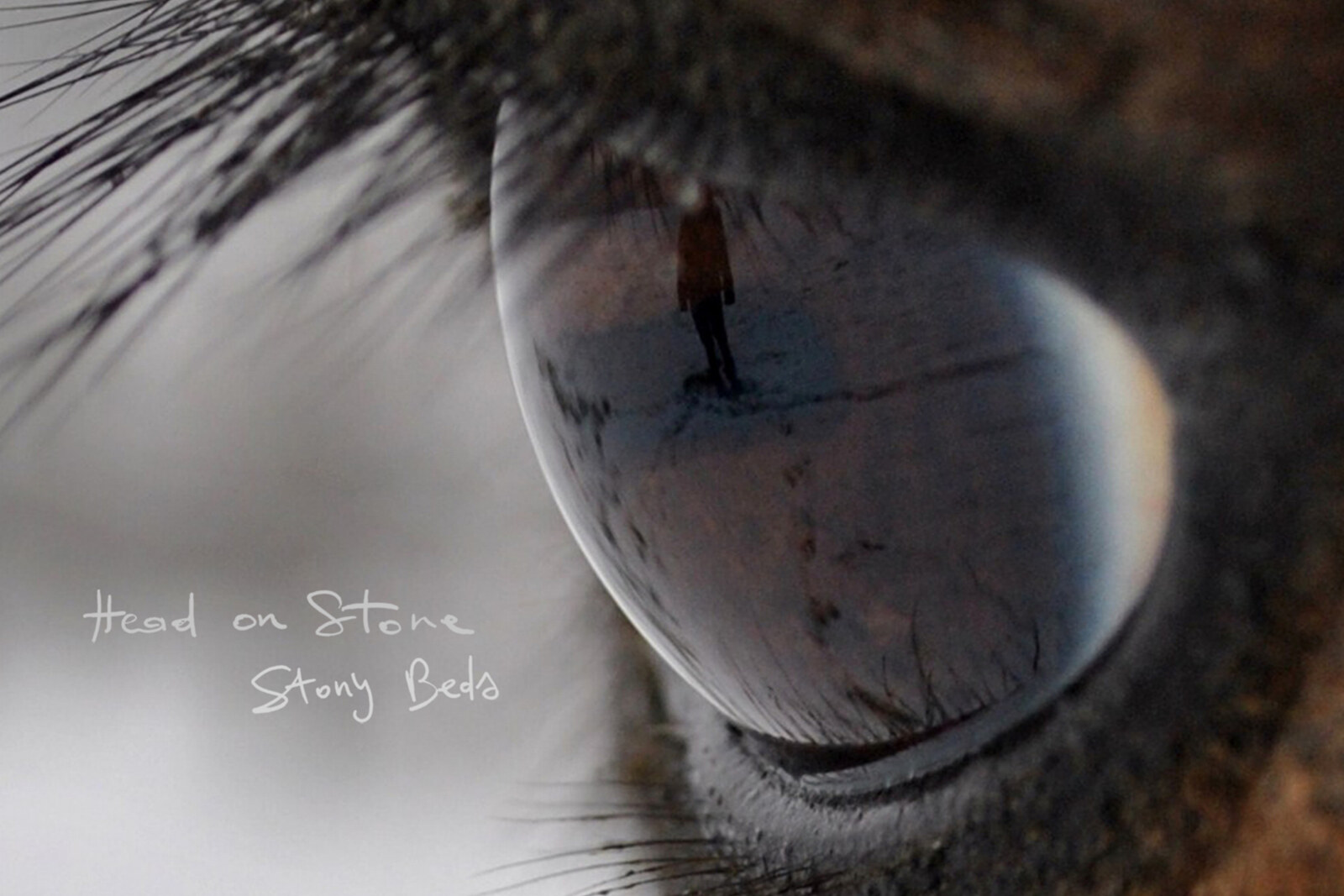 Head On Stone lanceert Stony Beds