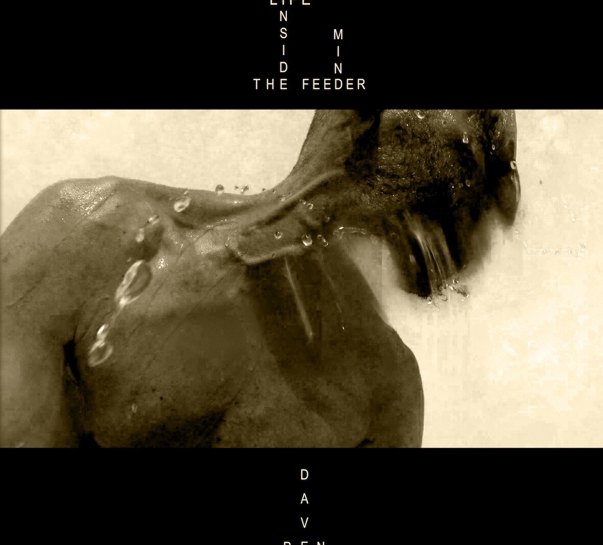 Dave Pen - 'Life Inside The Feeder Mind' : new solo album by Archive and BirdPen frontman out now