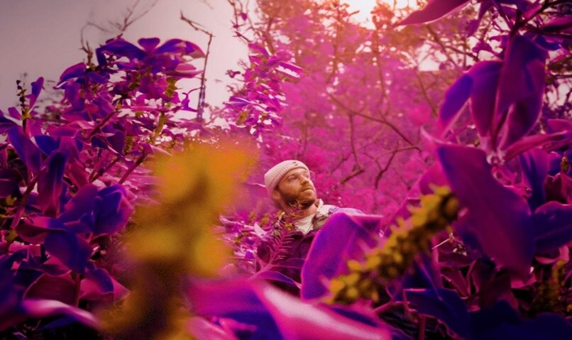 ‘I Wanna Be A Dog’ is the second single from ttwig’s newly released sophomore album, ‘Hang Ten Colors to Catch the Sun’!