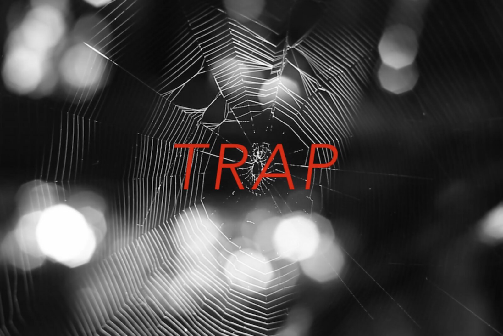 Berlin’s Indie Collective The Morning Stars (Kreidler/Barbara Morgenstern/Sport/Kante) Launch Their New Single and Video “Trap” — Out Today!