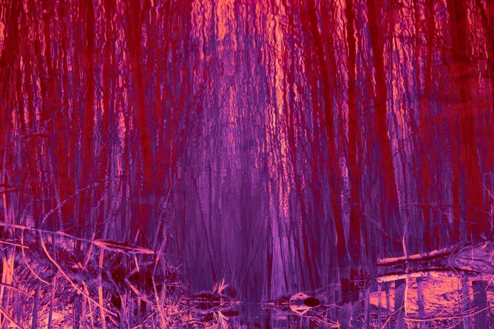 New album from Hørd