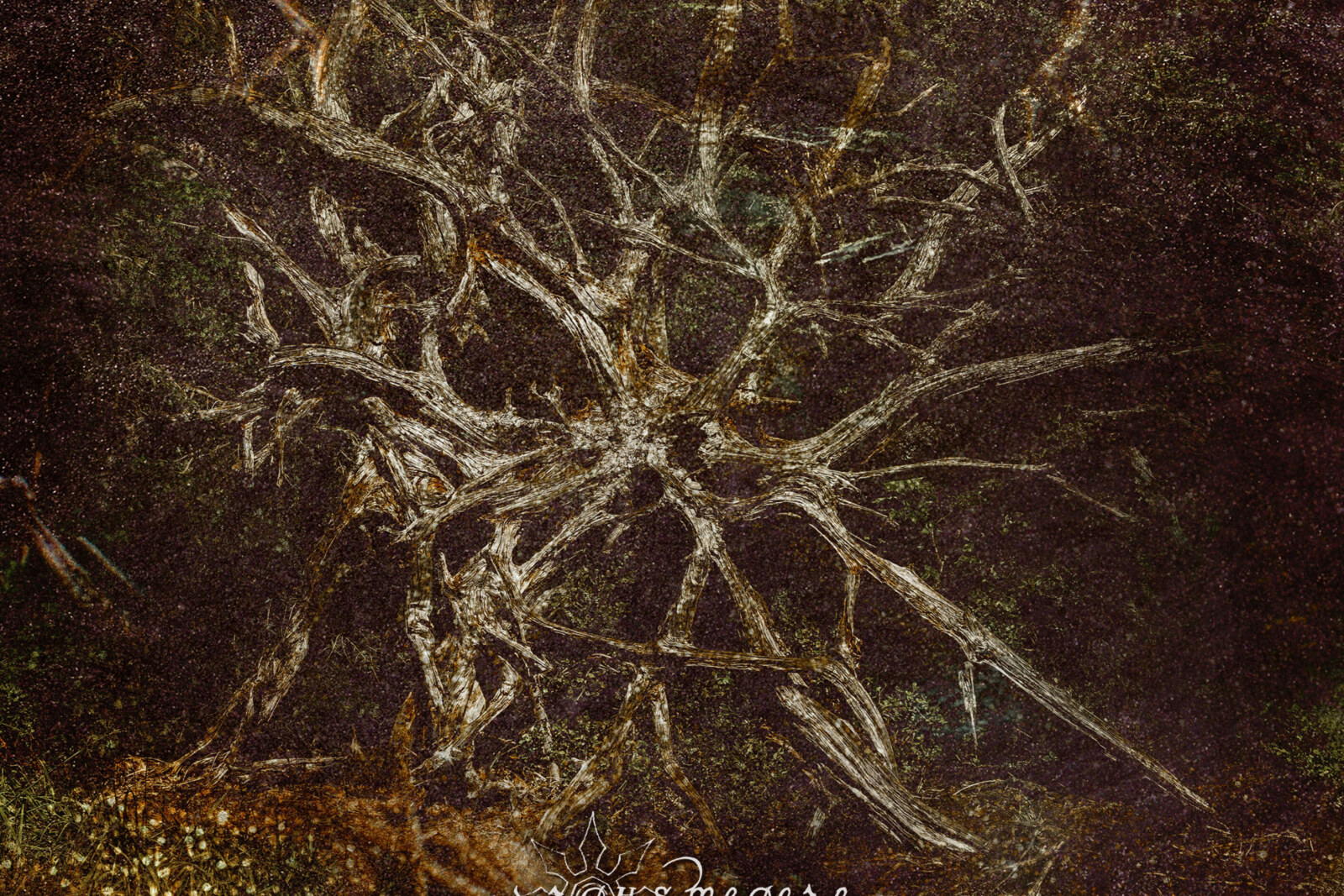 Argus Megere released their new album "Cerburea apusului"