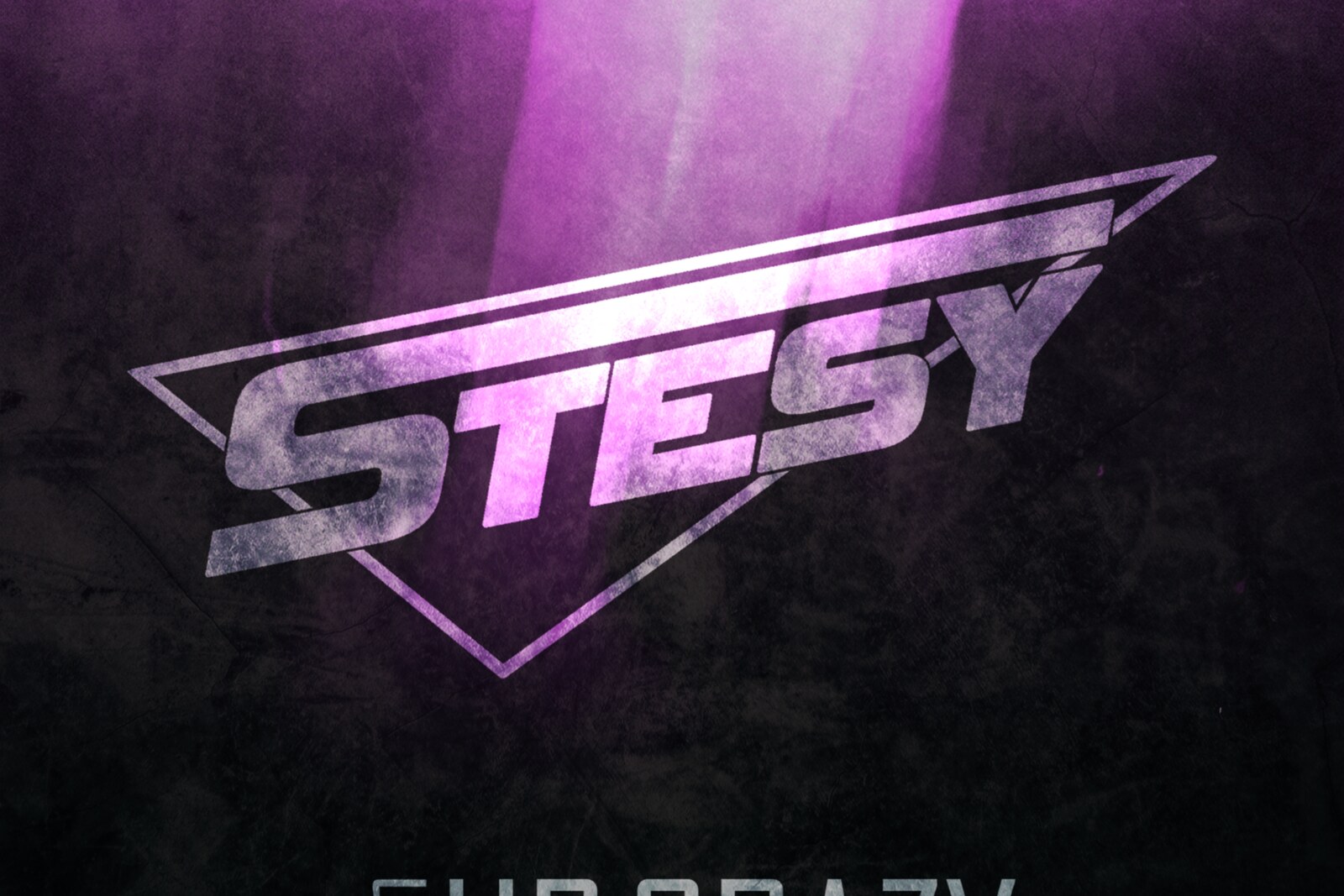 Austrian Partycore act Stesy release new album “Turn Up The Crazy” (2M streams) via Bleeding Nose Records