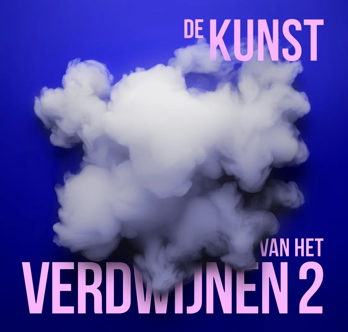 De schaduwzijde van de geschiedenis in De kunst van het verdwijnen 2