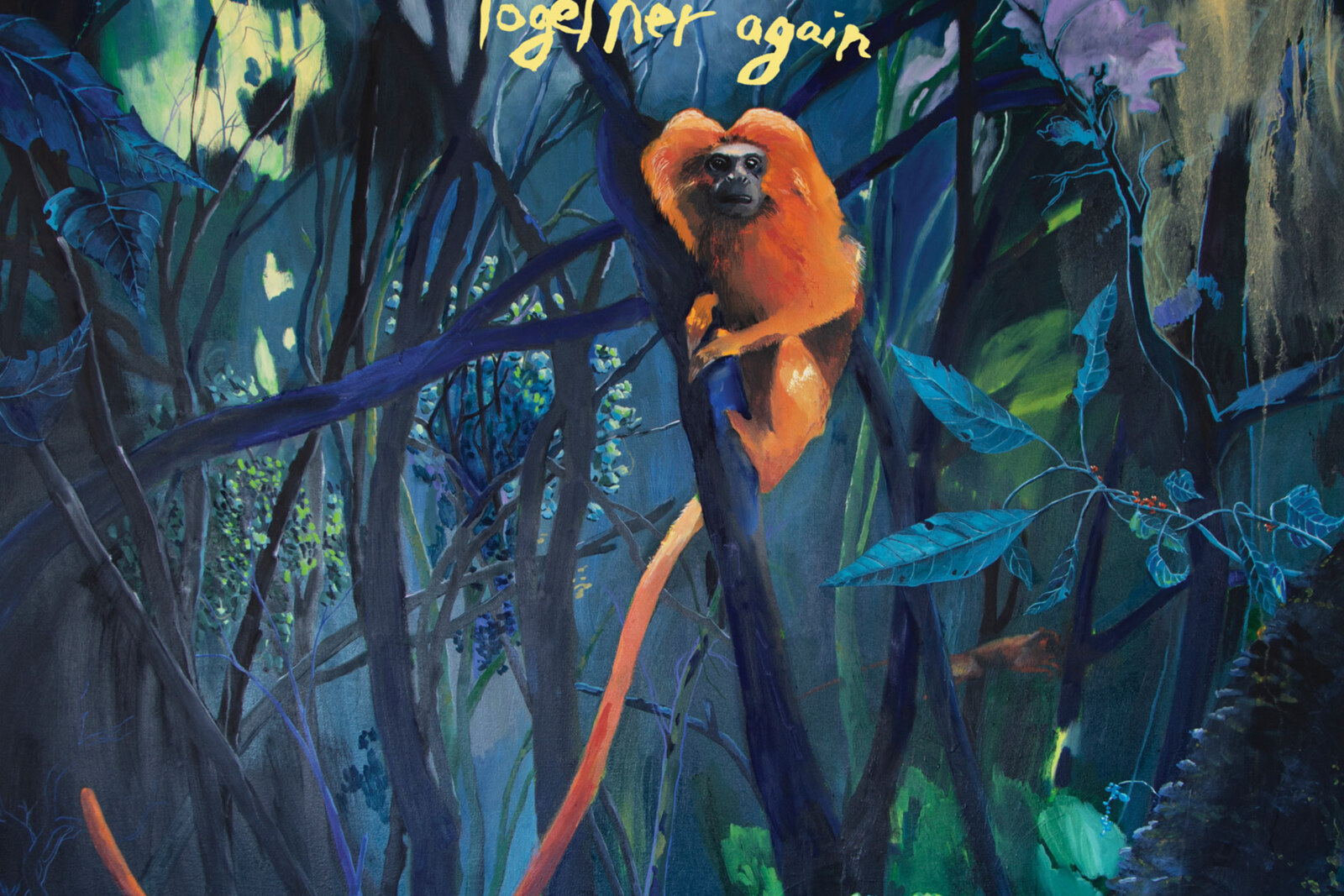 Bonnie "Prince" Billy Announces New Album "We Are Together Again" - out 6 March