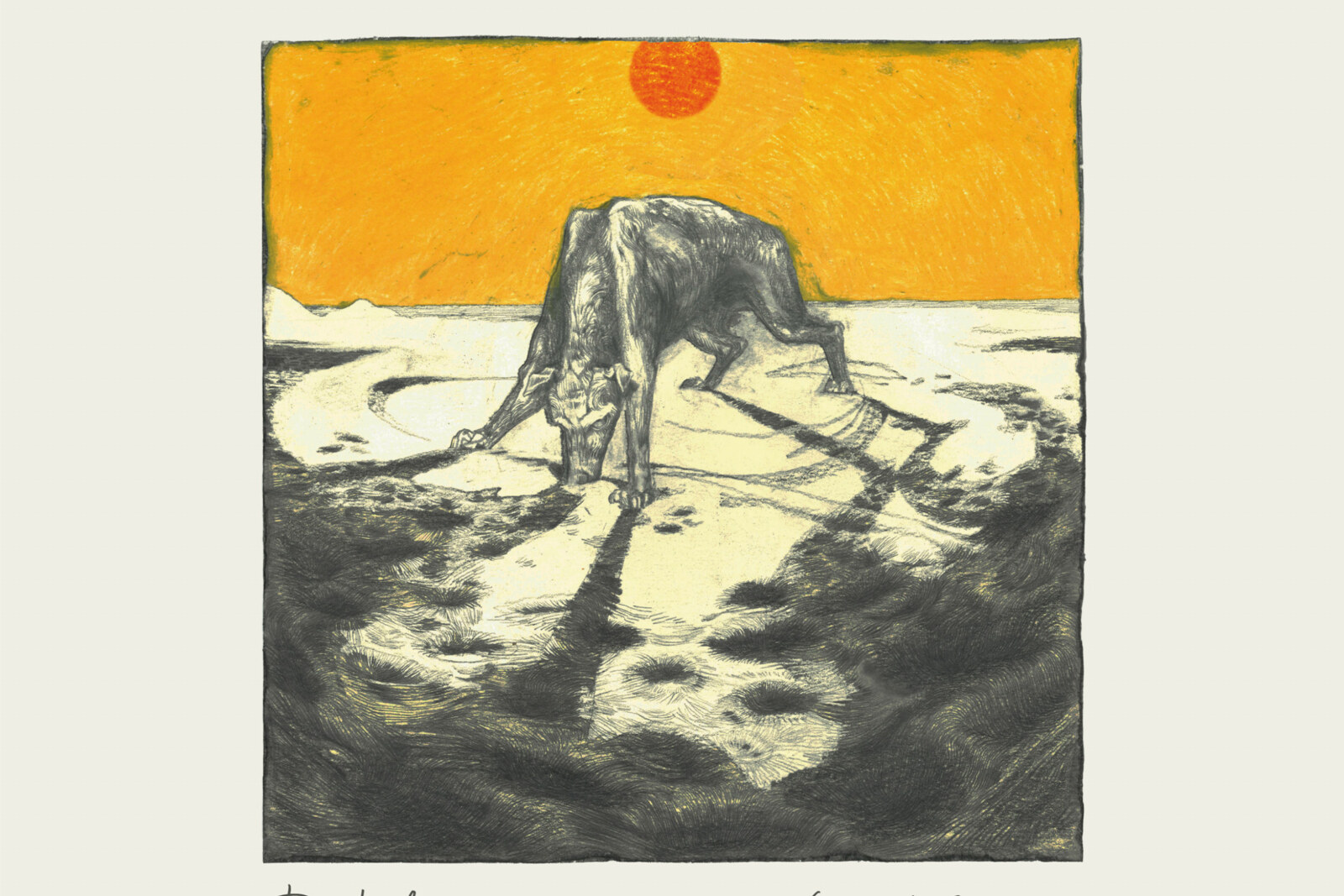 Dark Dog: Tweede album Vincent Coomans komt uit op 16 januari