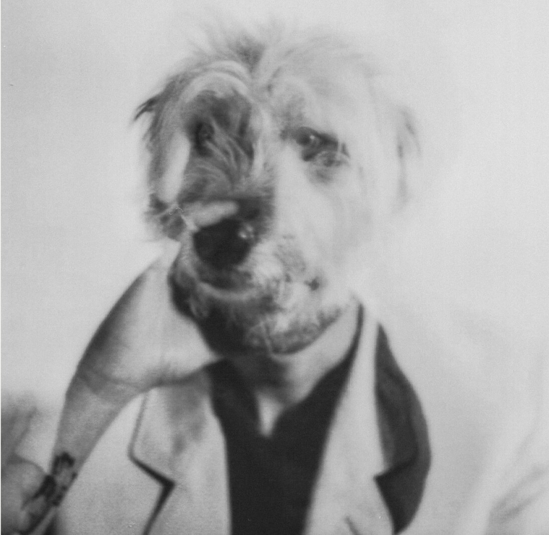 Shy Dog stelt single The Bells Tolls voor