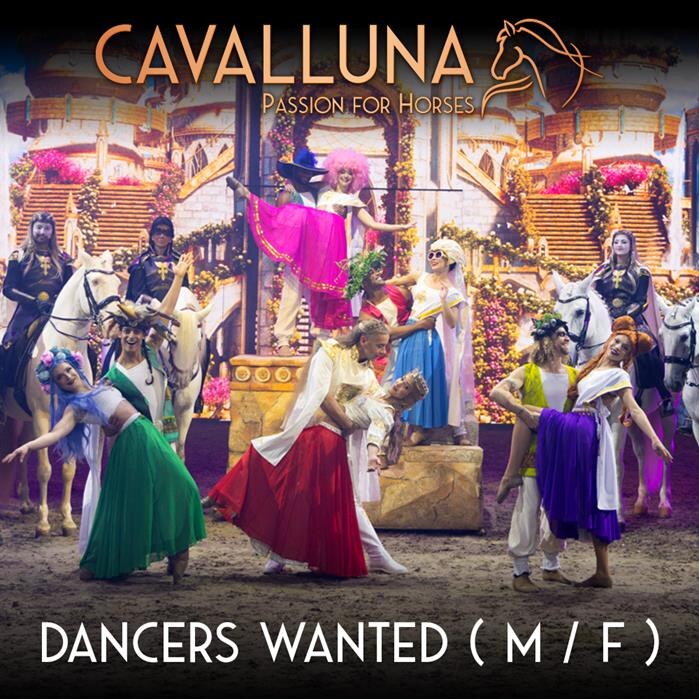 Unieke kans: Paardenspektakel Cavalluna zoekt dansers voor nieuwe show
