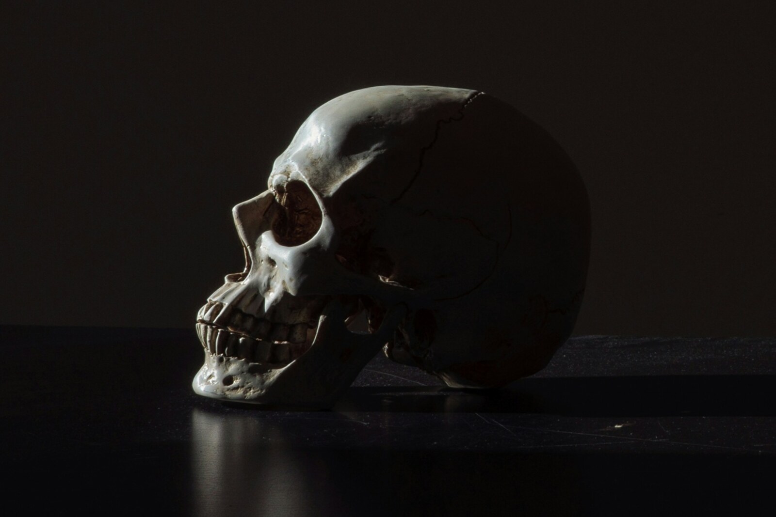 Bastion Rose Marches Forward with Heavy Metal Anthem "Bones" – Second Single from Upcoming Album Blue Rising