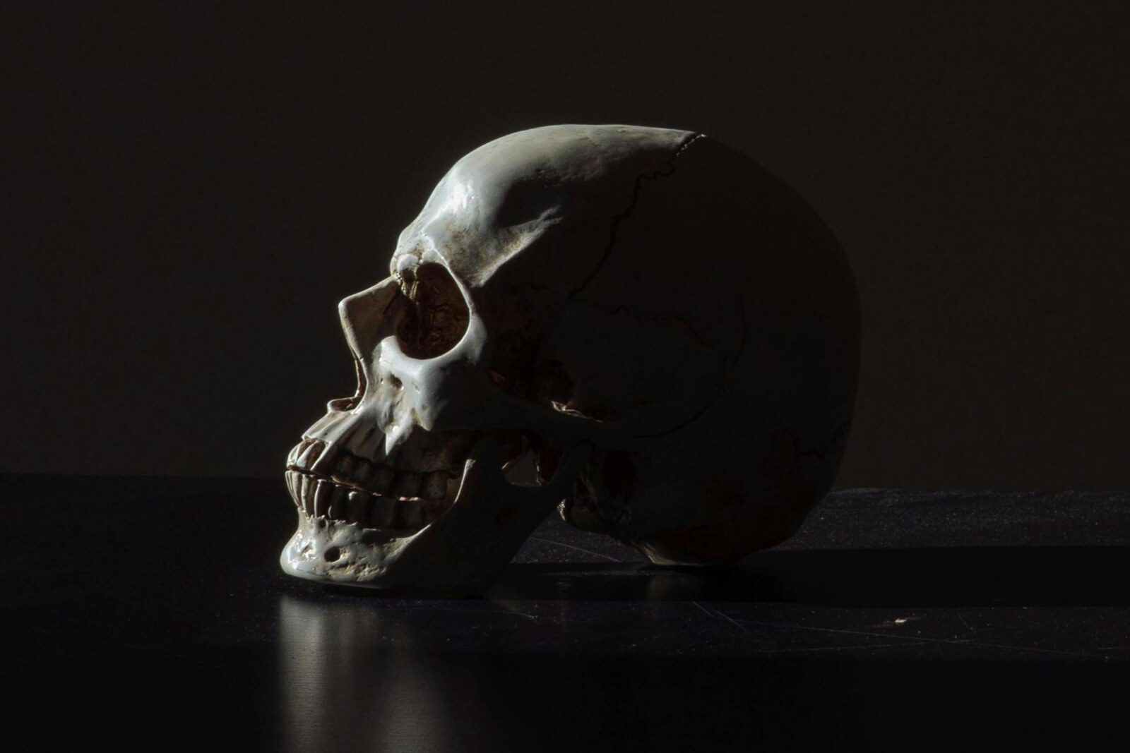 Hard Rock Band Bastion Rose Releases New Single "Bones" 