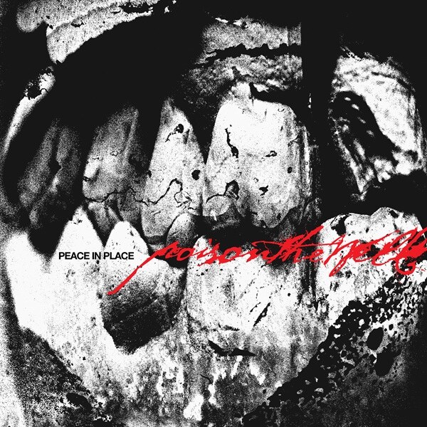 Poison The Well Share Video For New Single "Everything Hurts" - New Album "Peace In Place" Arrives On March 20 Via Sharptone