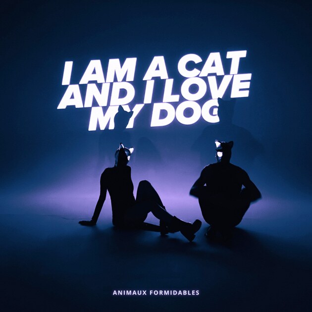 Animaux Formidables Release New Video for "I Am a Cat and I Love My Dog"!