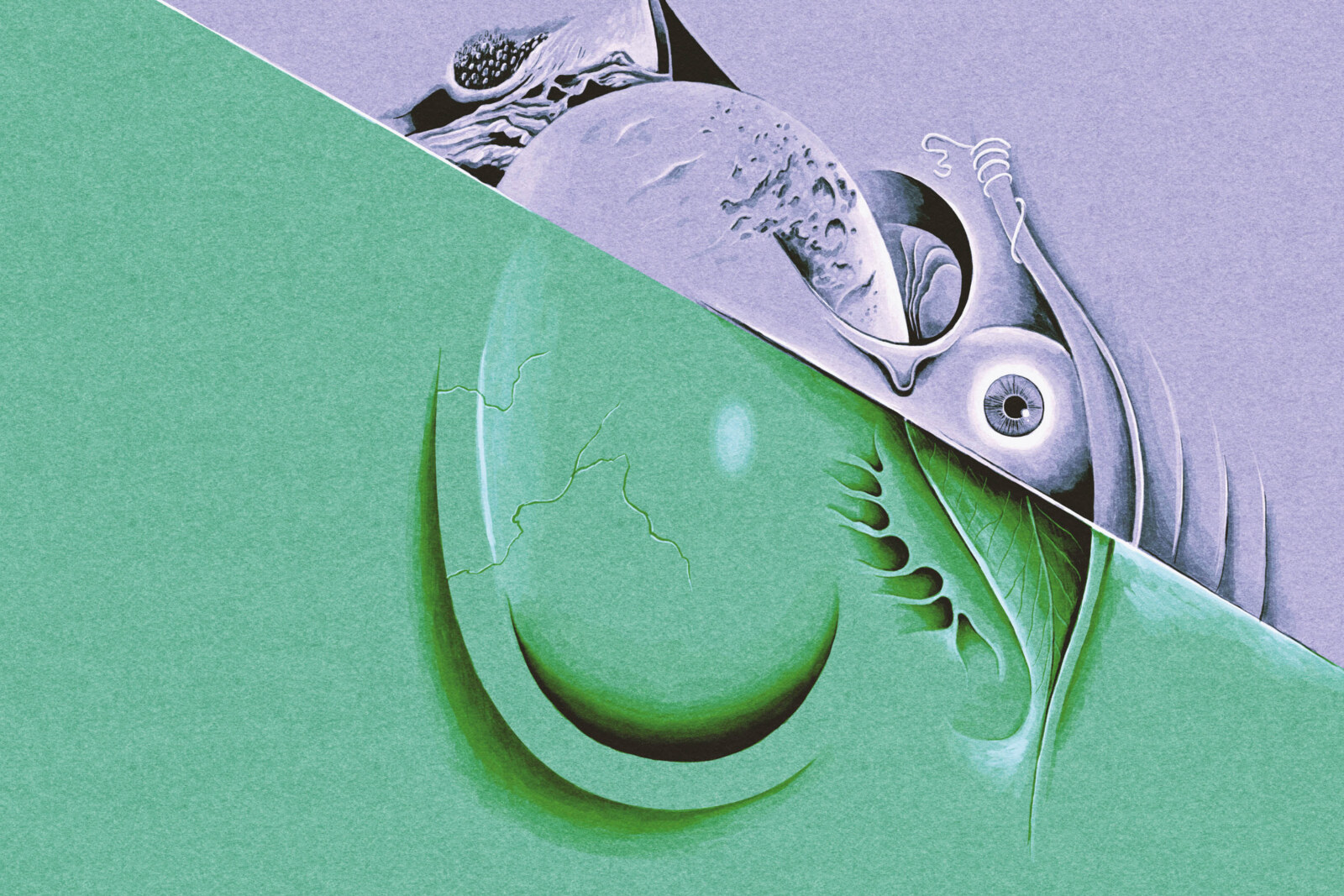 Razen & Dick van der Harst announce new collaborative album