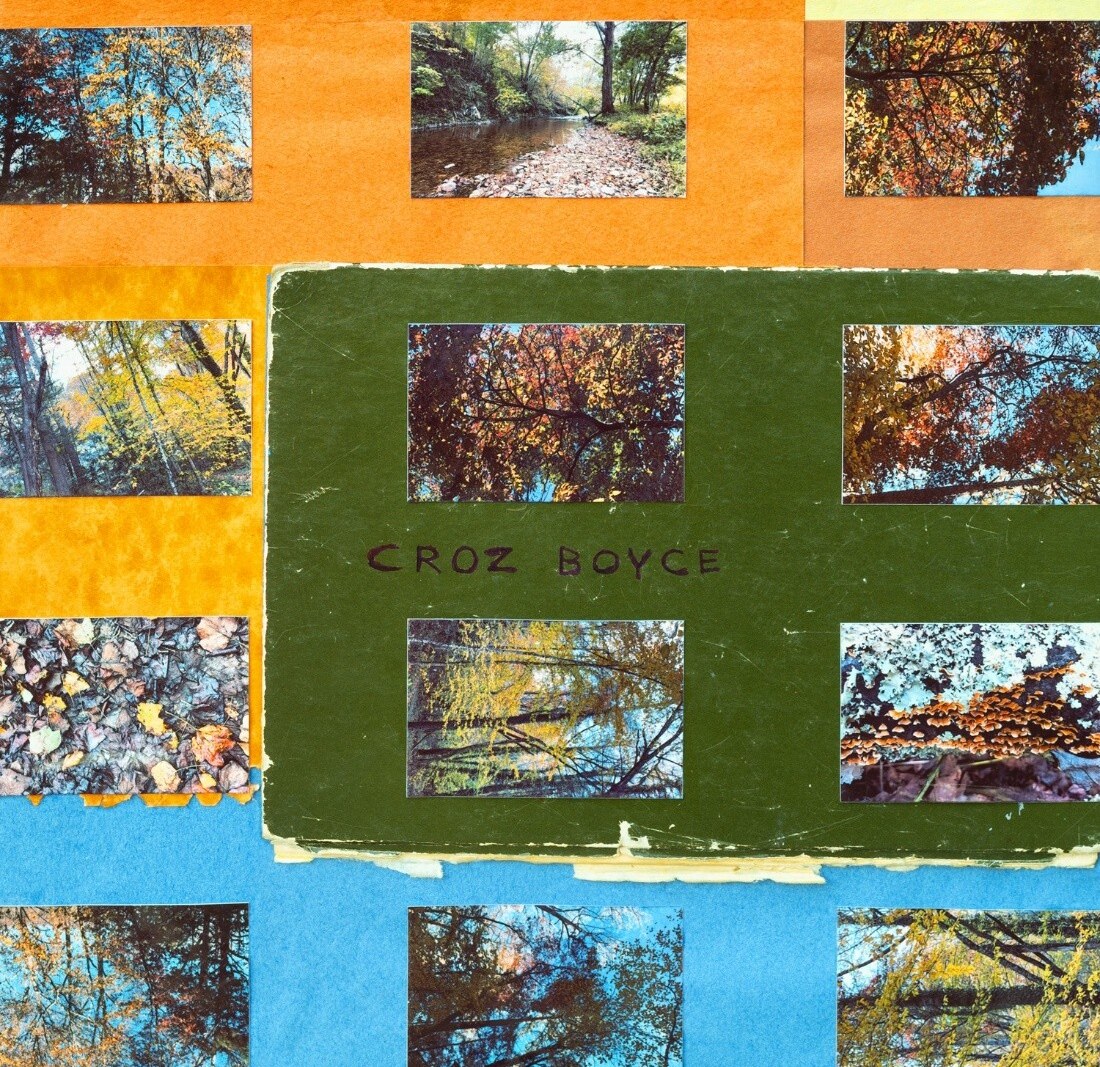 Animal Collective’s Dave Portner & Brian Weitz unveil new instrumental duo Croz Boyce
