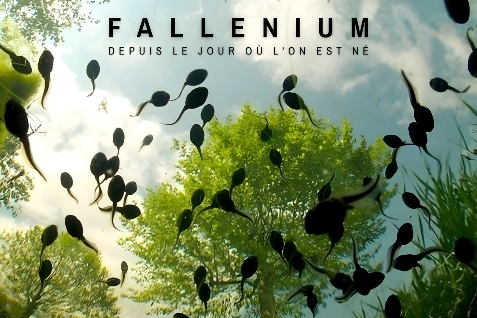 Belgische indie-artiest Fallenium fileert hypocrisie vermomd als vrije meningsuiting in satirische single ‘Voltaire ?’