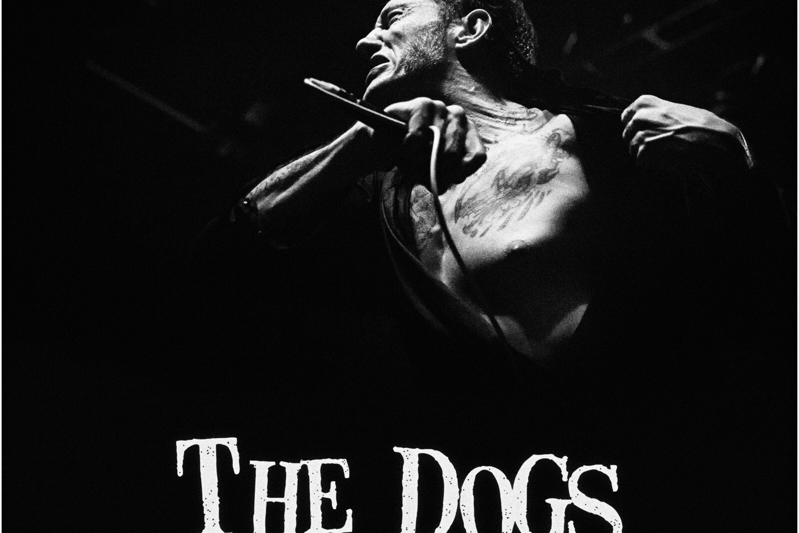 The Dogs return with their new single 'Fuck’Em', an uncompromising taste of the upcoming album 'Trauma Junkie'