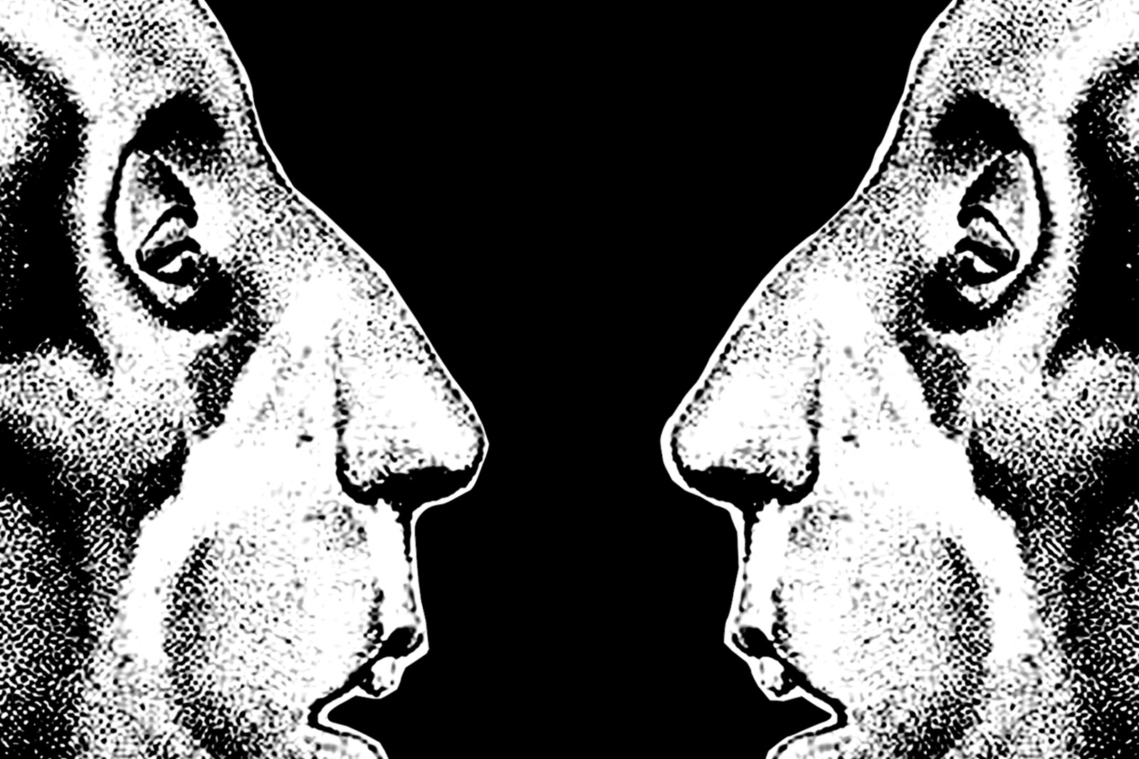 Man Looking Man Release New Single and Video “Zegepraal” and Announce Self Titled Album via Octopus Rising