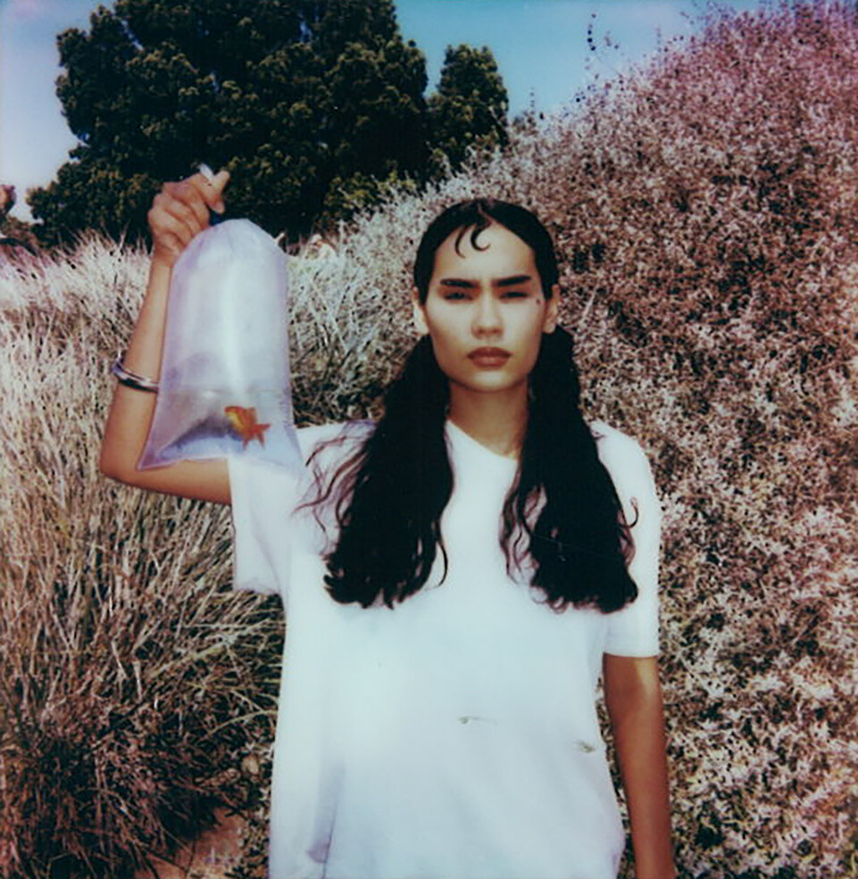 Teyha releases "catch
