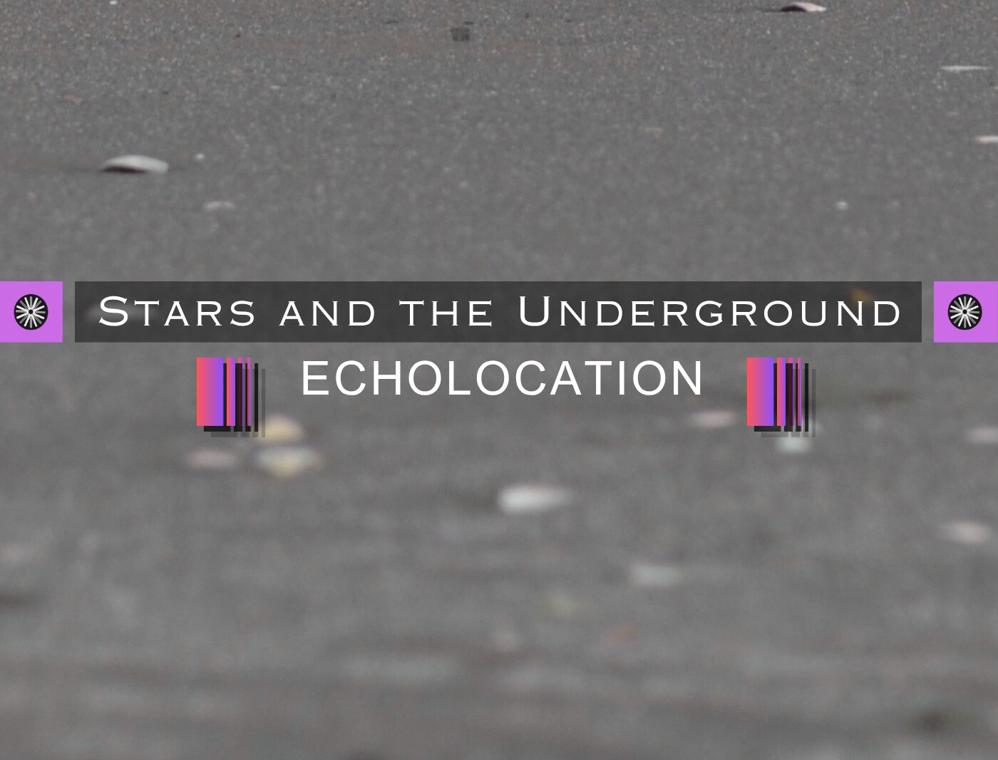 New Zealand post-punks Stars & The Underground unveil shoegazing single "Echolocation"