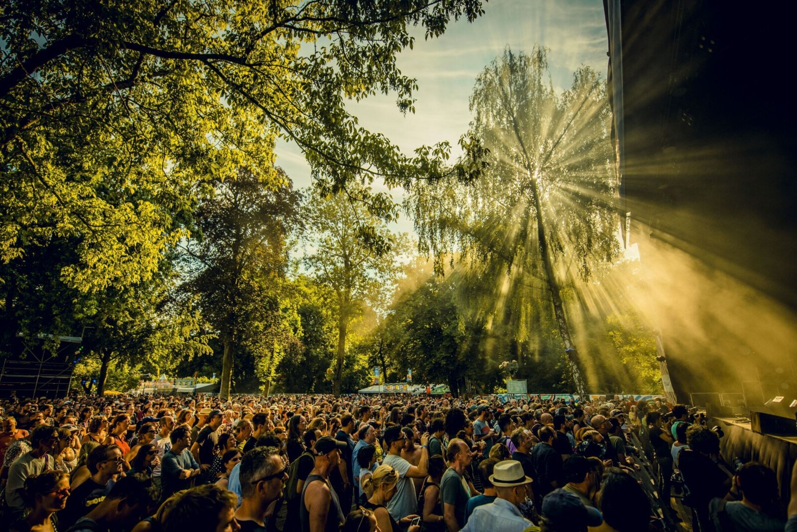 Cactusfestival klaar voor 43ste editie