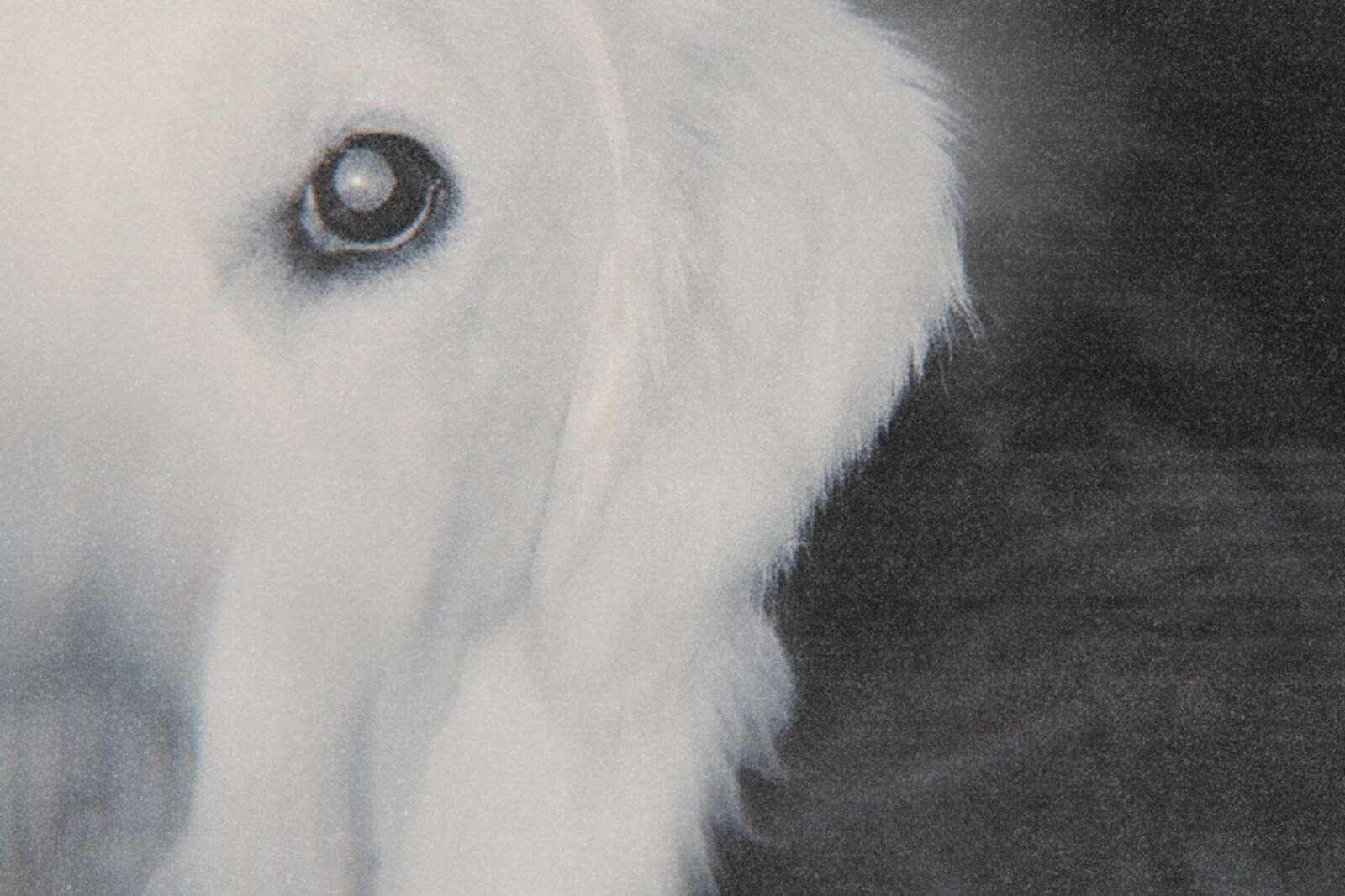 Alaina May Shares New Single "The Dog"