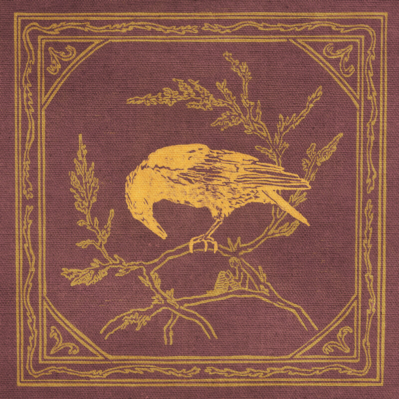 Curiosity Shop releases  "Wandering Arrow"