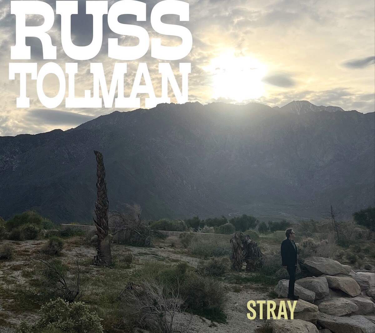 Russ Tolman - 'Stray' : new album by Paisley Underground veteran and True West co-founder out 18th September 2026