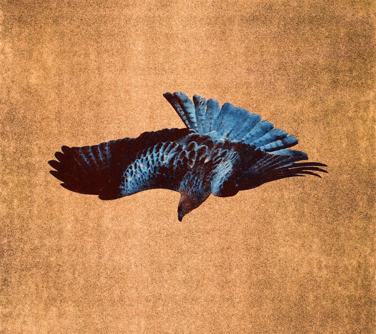 Tender Ender returns with "Darkness," a new single accompanied by a self-directed music video