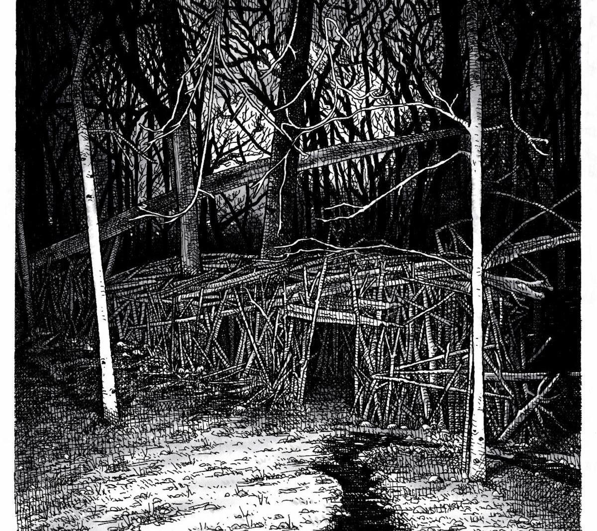 NY post-rock group Halfway Up A Jagged Hill share final album preview "Silver Sword"