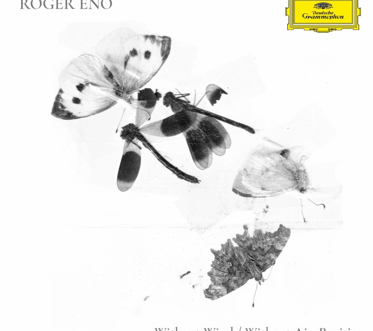 Roger Eno New Deluxe Album Includes 8 Previously Unreleased Tracks