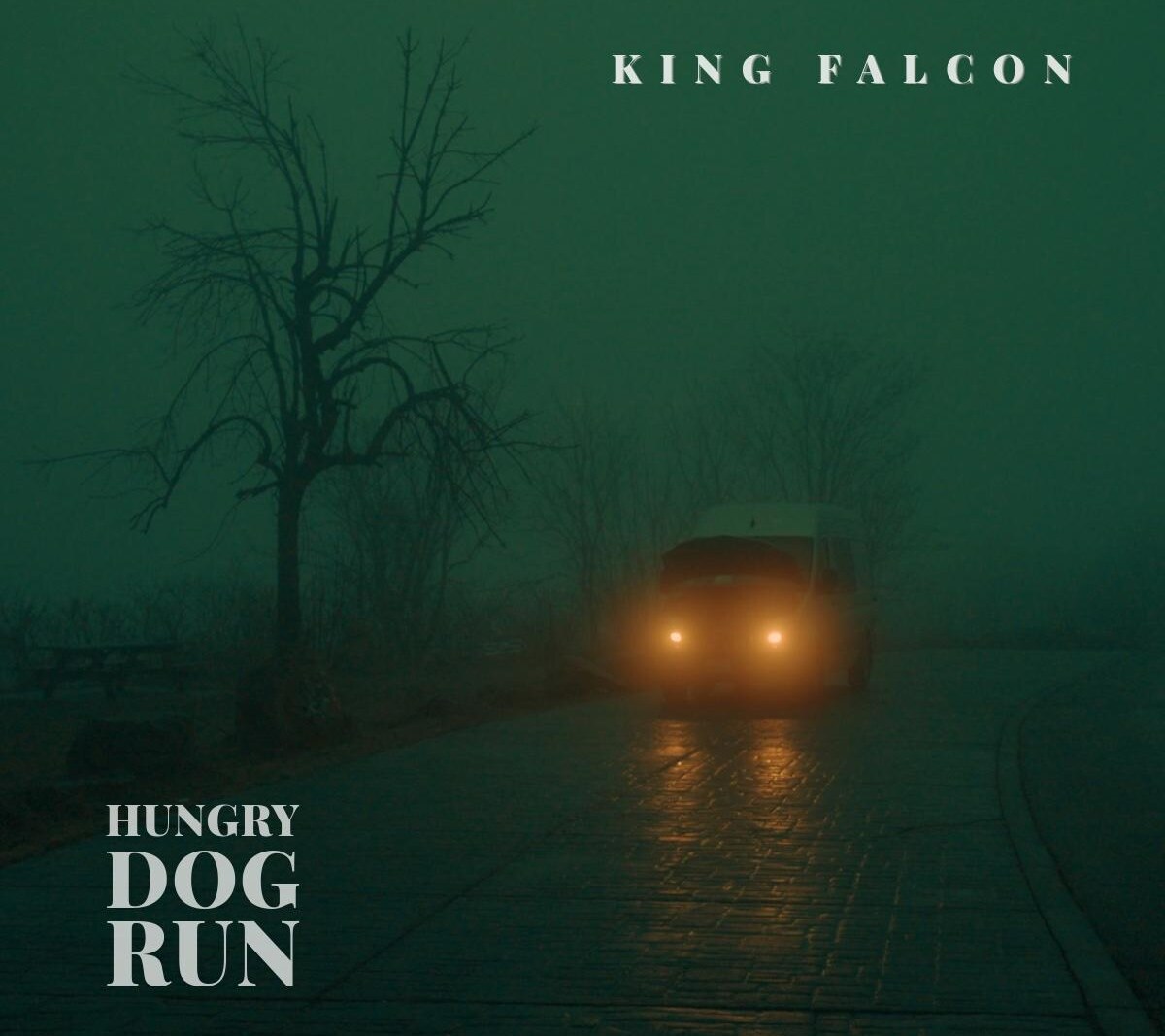 Incisive and rebellious "Hungry Dog Run" out now from NYC alt-rock band King Falcon ahead of piercing EP out next week