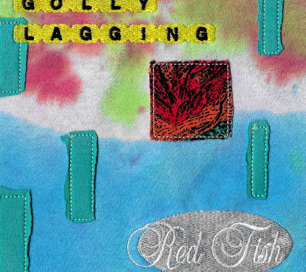 Boston DIY band Gollylagging don't take themselves too seriously on "Red Fish" with early internet-inspired video