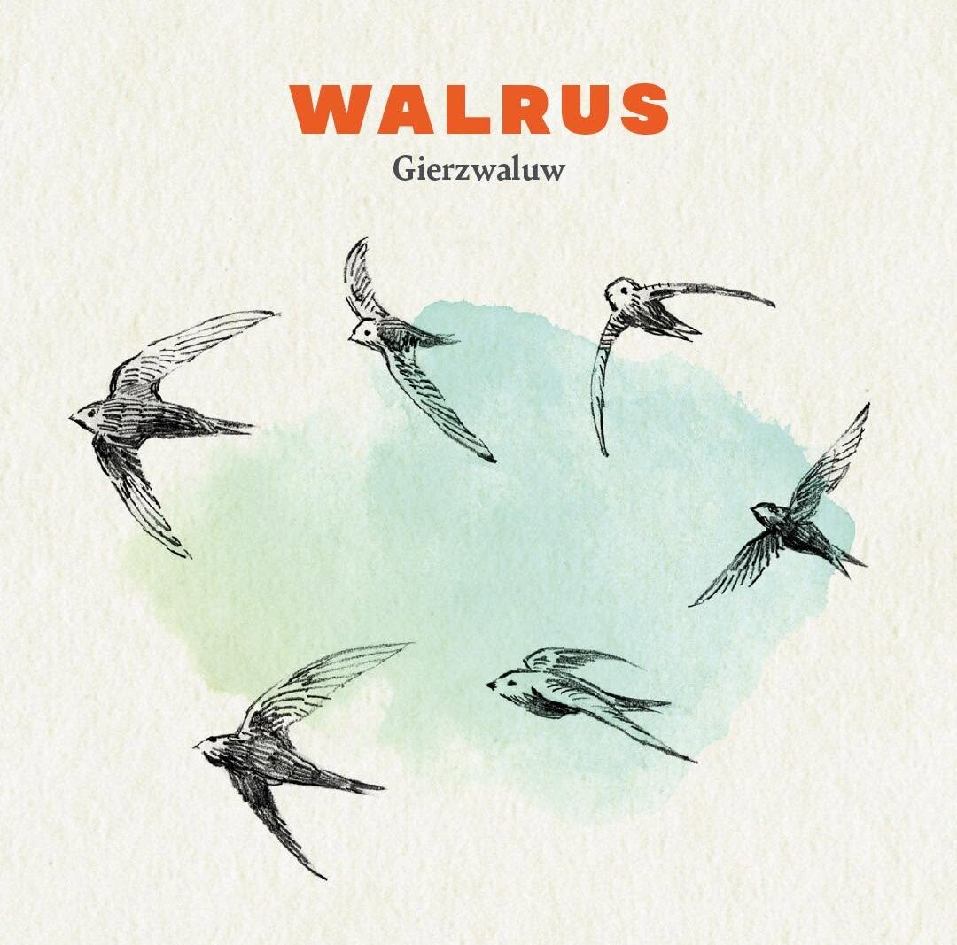 'Gierzwaluw' is het nieuw album van Walrus, band rond Geert Noppe.