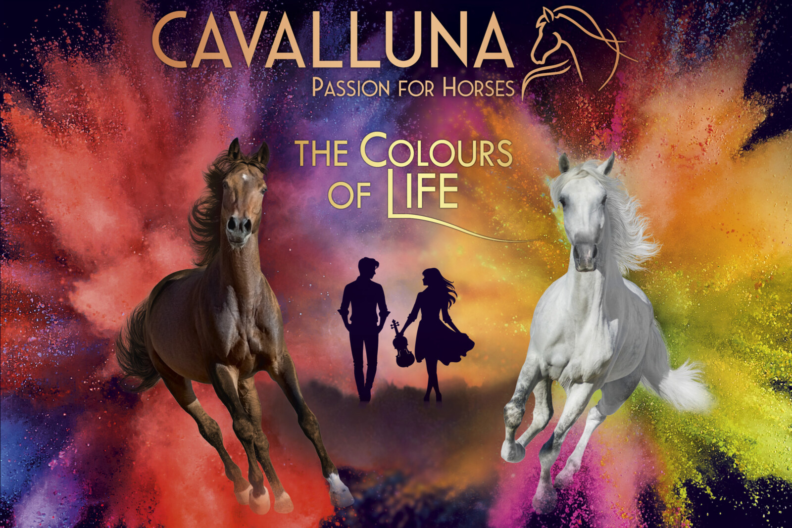 60 paarden, 150 ton zand en een arena vol spektakel: CAVALLUNA komt opnieuw naar Antwerpen!