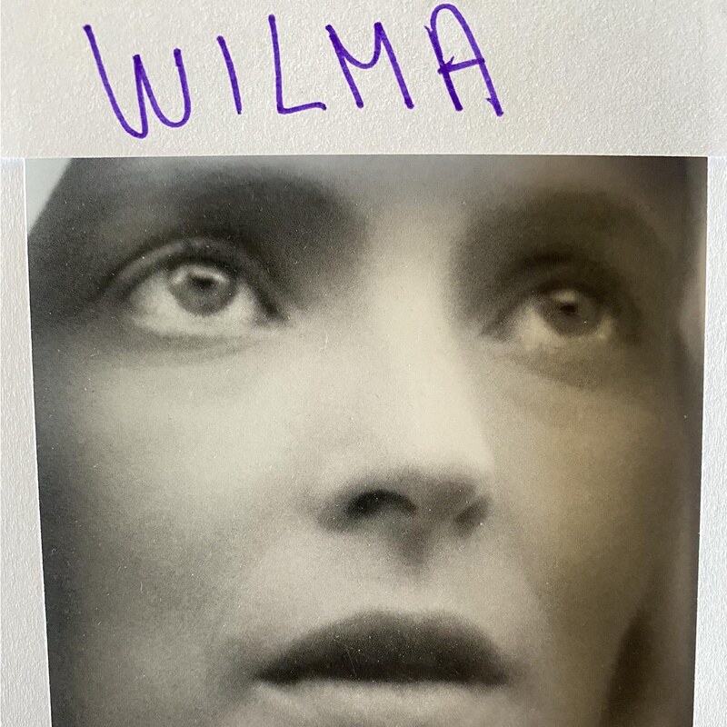 Album out now: Daniele Luppi "Wilma"