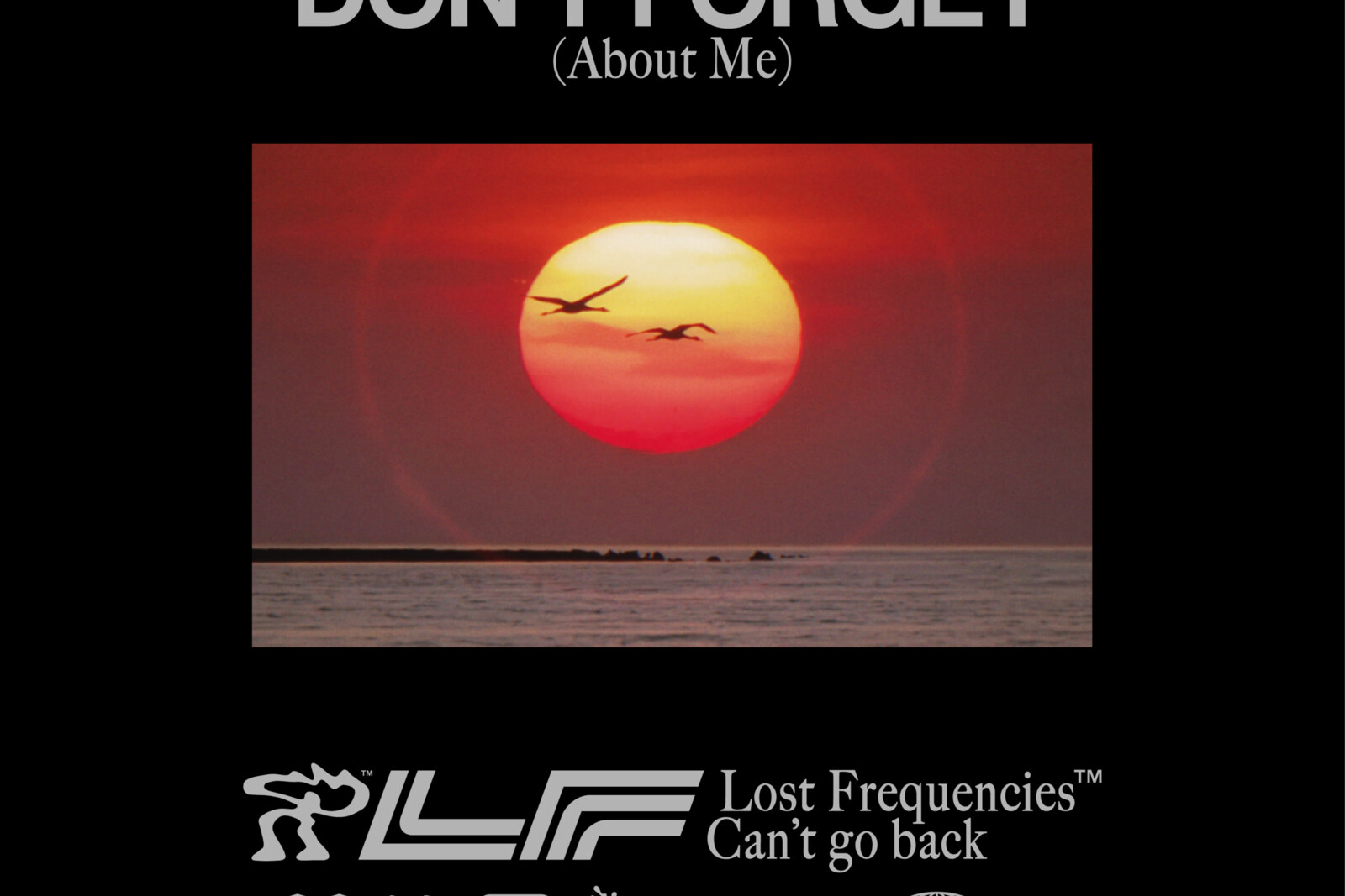 Lost Frequencies lanceert Don't Forget