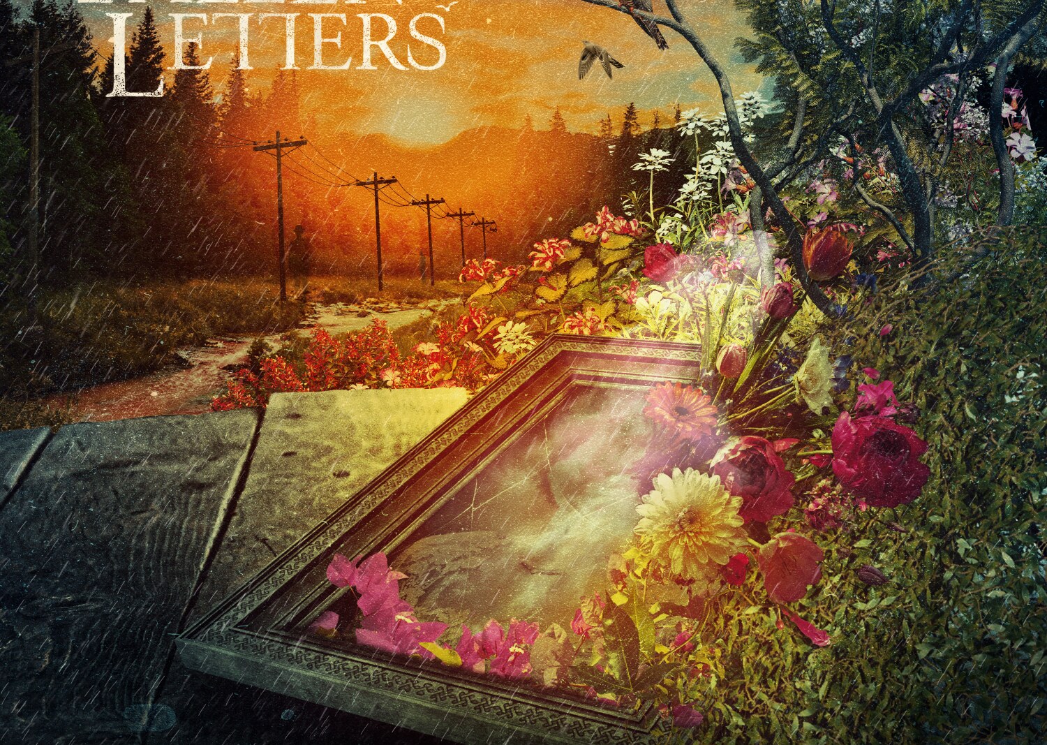 Fallen Letters Explore Longing and Loss on Atmospheric New Single "Hiraeth"